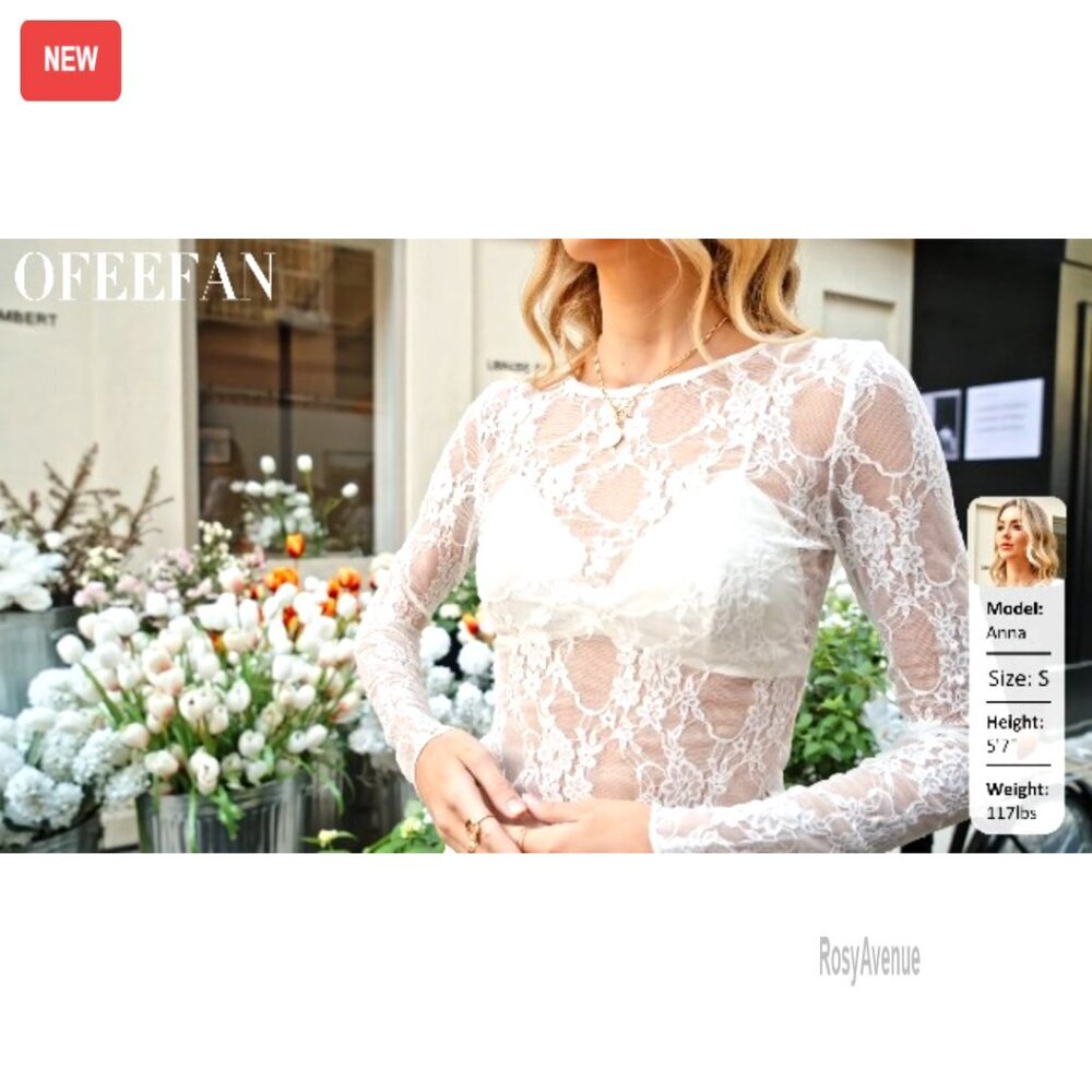 Mesh Lace Long Sleeve Slim Fit Top, Crewneck, See Through Blouse - Picture 6 of 6